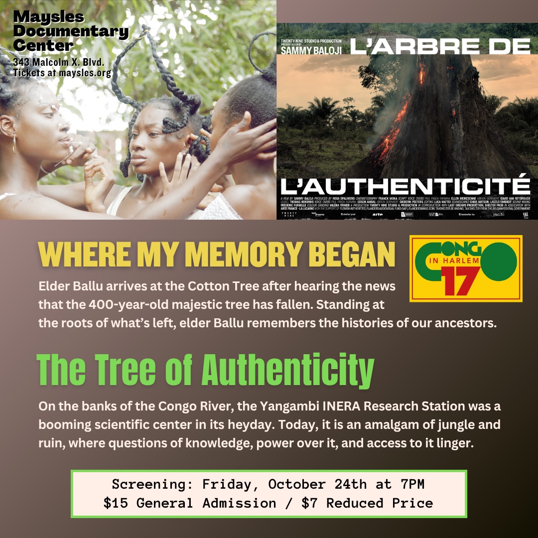 WHERE MY MEMORY BEGAN THE TREE OF AUTHENTICITY